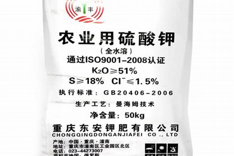 五色赤丹茶花上盆能浇生根水吗