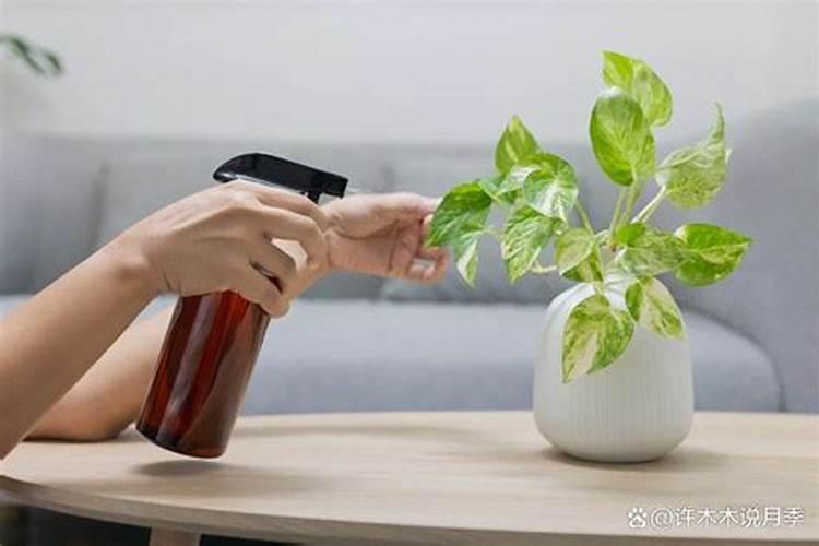 矿源黄腐酸钾多少钱一吨