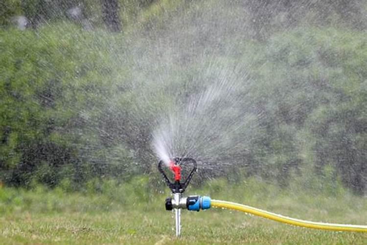 辣椒什么时候施用磷肥效果好？