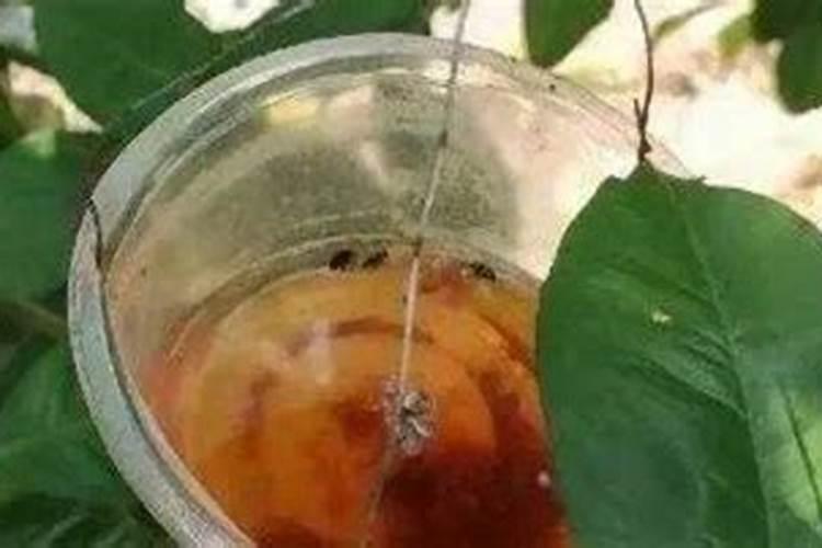 钙肥的作用及施用方法