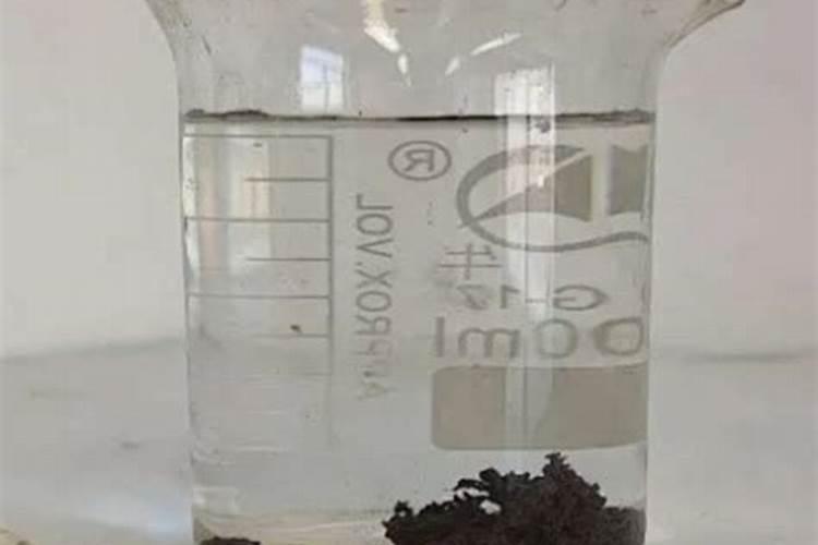 沃柑用什么肥料最好