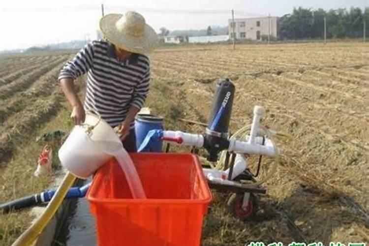 含腐植酸水溶肥料裸根能用吗