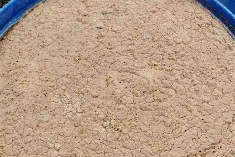 怎么促进樱桃开花？樱桃开花前用什么肥？