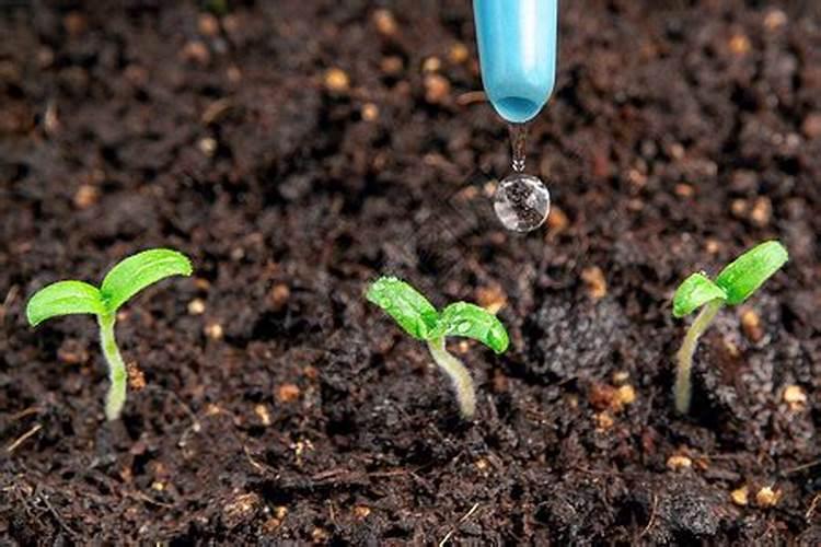 202020水溶肥配方计算(大量元素水溶肥配方表)