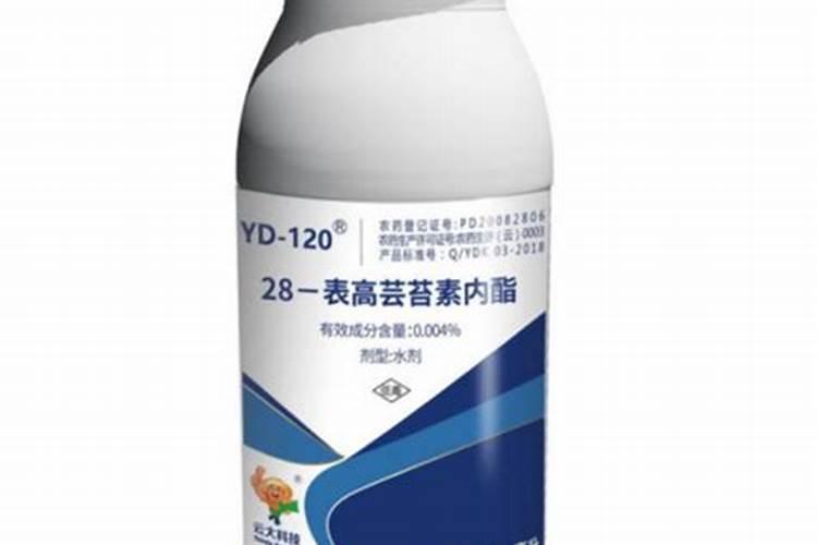 种植甘蔗使用芸苔素有哪些作用？