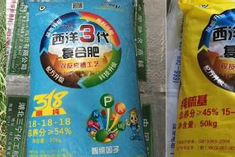 盆栽猕猴桃春季发芽追肥如何施肥用什么肥比较好多久施一次能结果吗