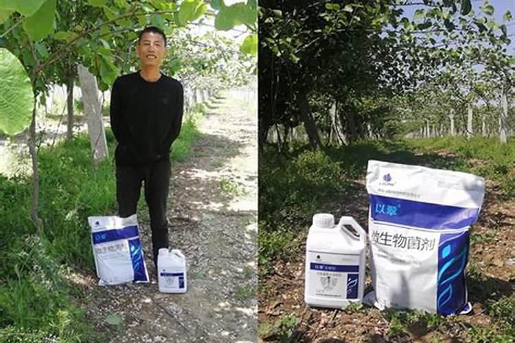 渔黑黑水溶肥怎么样