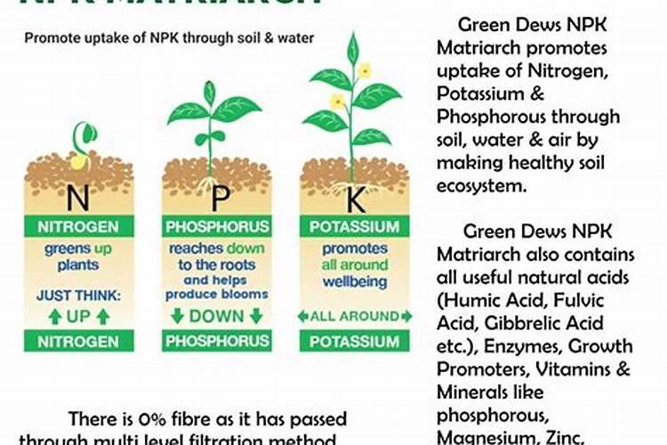 不含钾的肥料作底肥好不好？