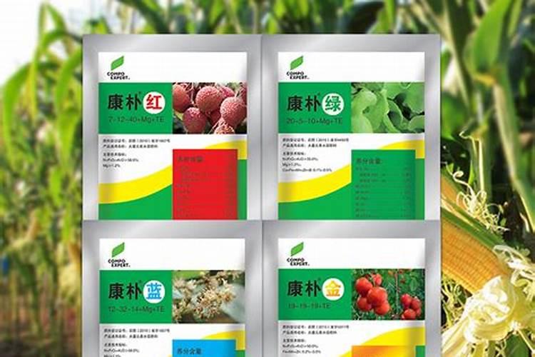 央视动漫集团的动画片