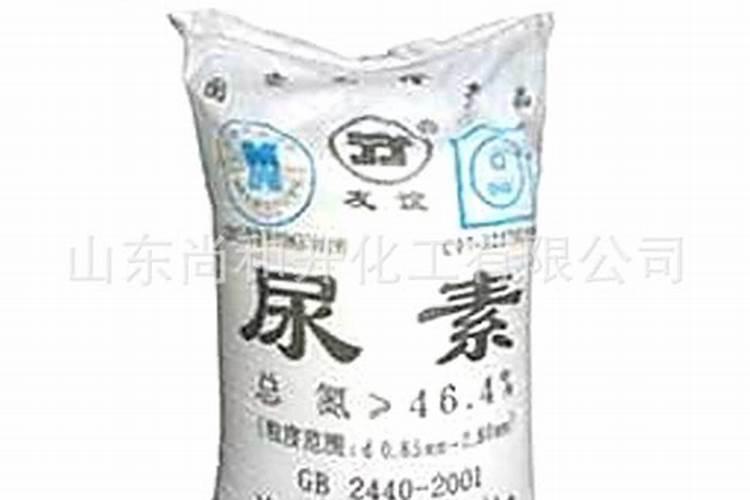 牛奶做叶面肥的方法,需要发酵还是不需要发酵