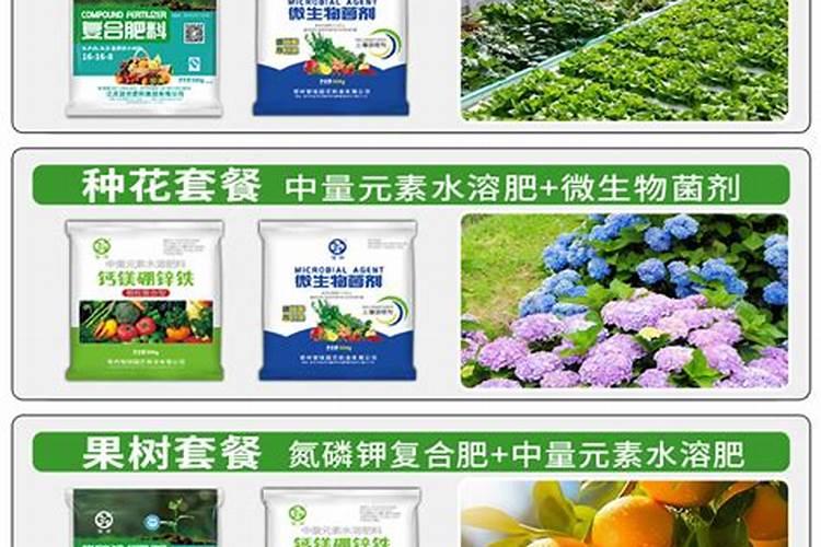 中量元素肥料有哪几种