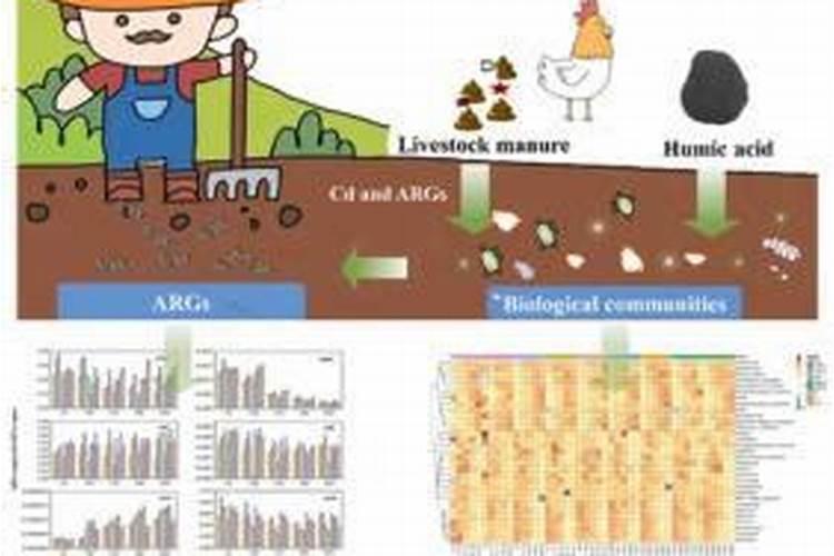 冲施冲施肥的注意事项有哪些