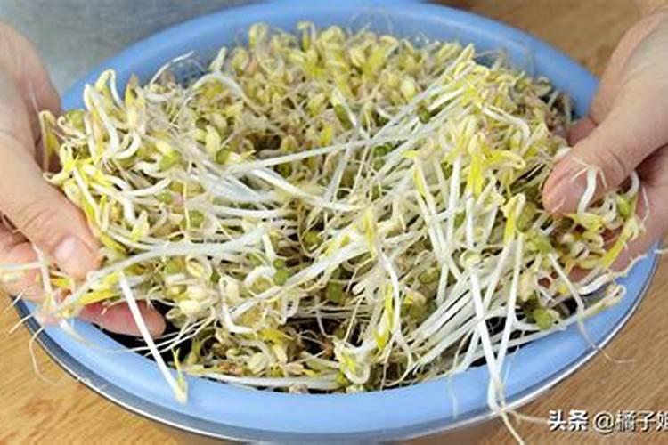 杜邦叁千可否打大白菜软腐病？