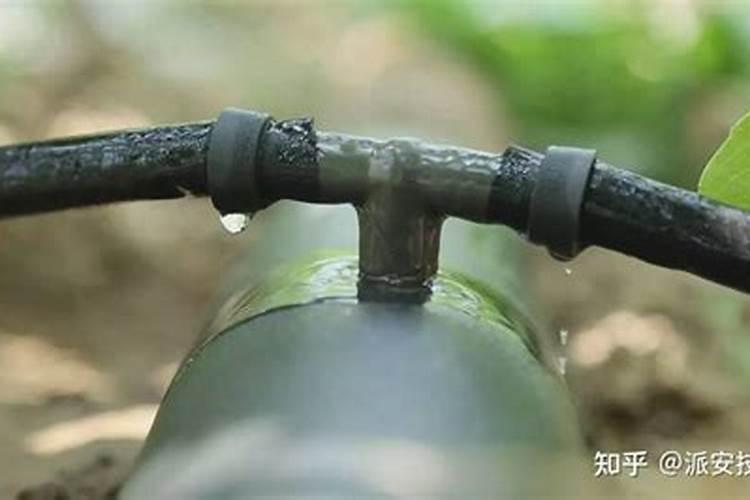 202020水溶肥配方计算(大量元素水溶肥配方表)