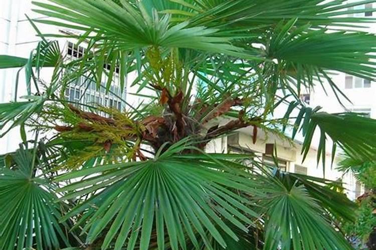 山西新核能肥业有限公司怎么样？