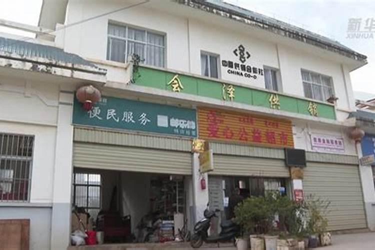 新移栽果树需要经常浇水吗