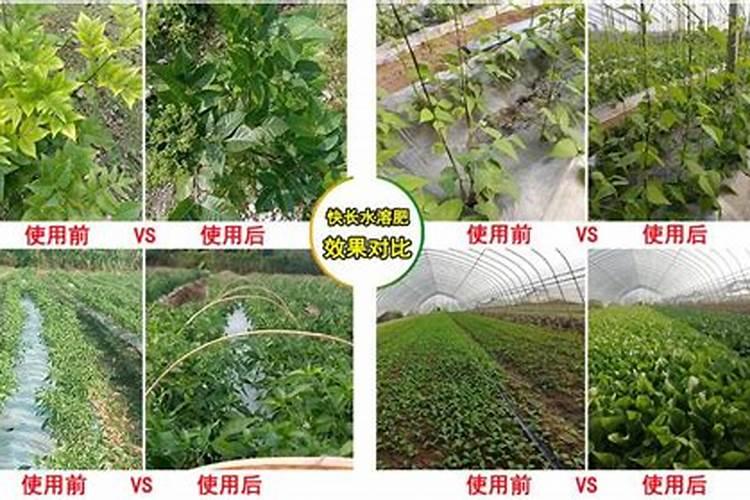 什么是多肽尿素？多肽尿素如何使用？