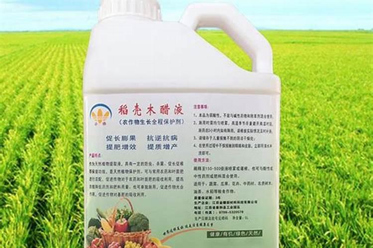 青梅如何巧施肥
