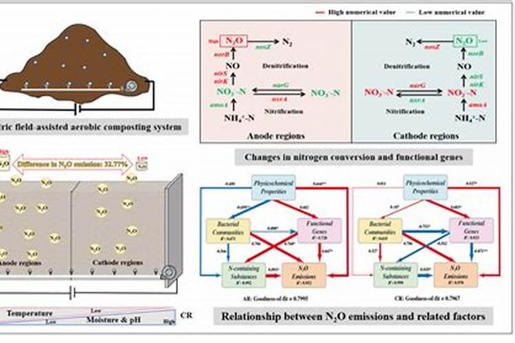 硫安可以化水和酸姓叶面肥/起喷灌浆期水稻吗