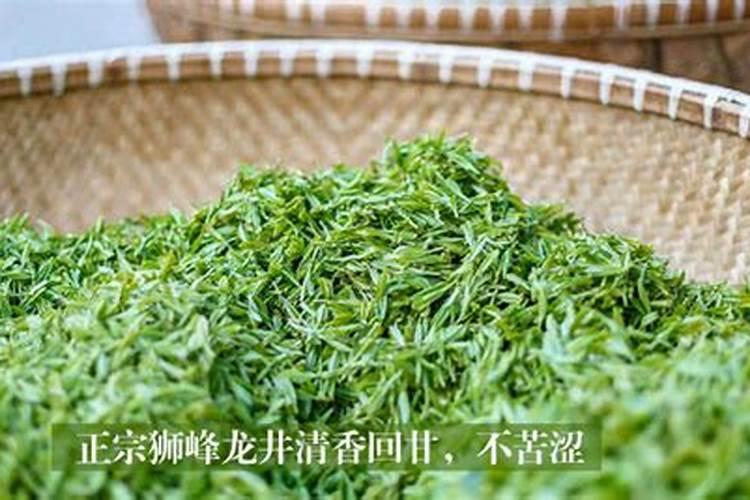 茶园早采优质高产管理技术措施