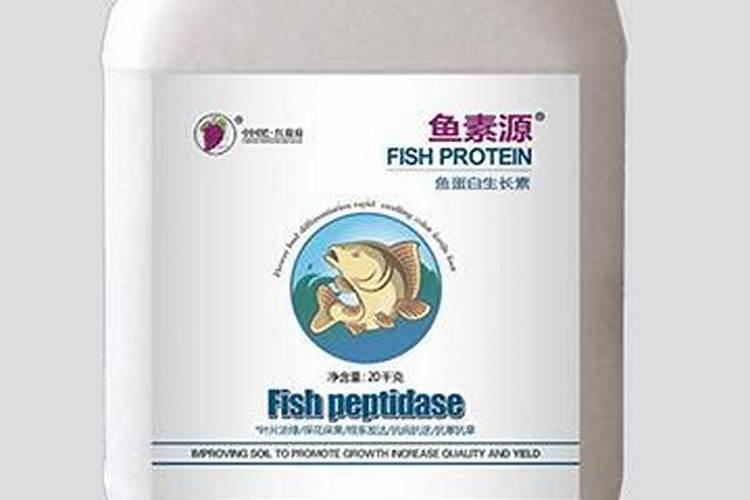 柑橘9月份施什么肥