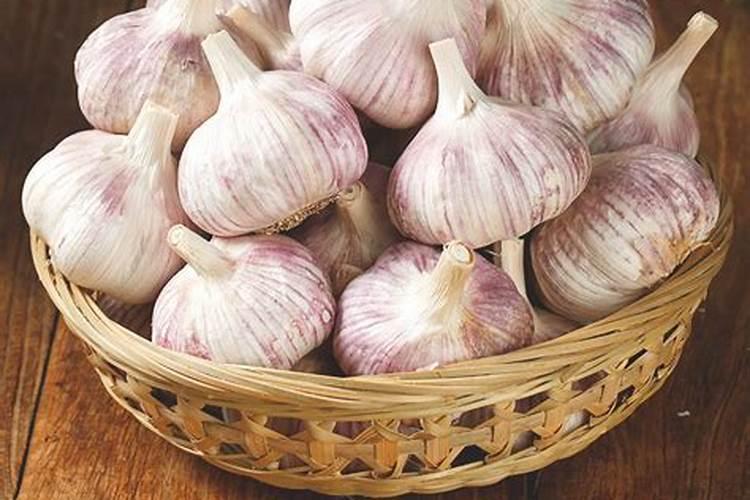 农大控释肥价格