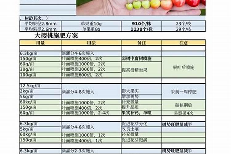 大樱桃施哪种肥料可增大果个？