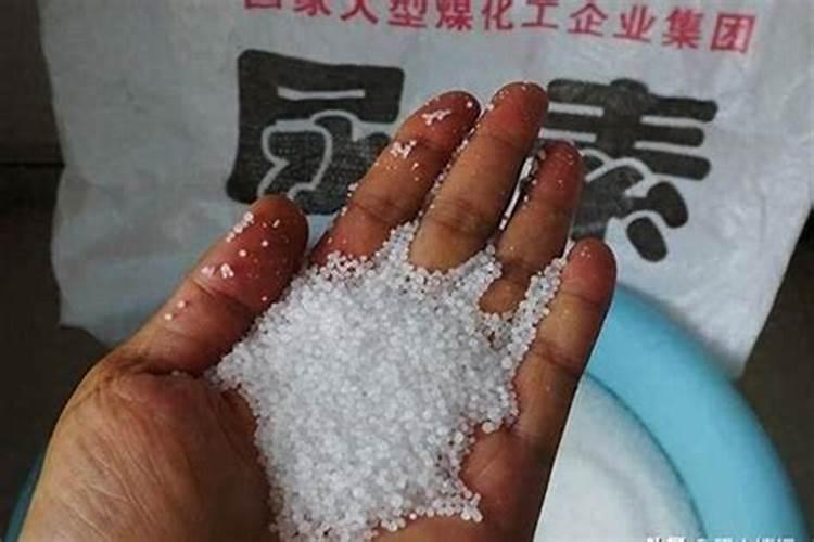 茄子为什么不能用尿素 施肥有什么要注意的