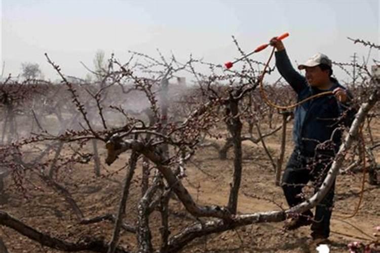 磷酸二氢钾兑水的比例