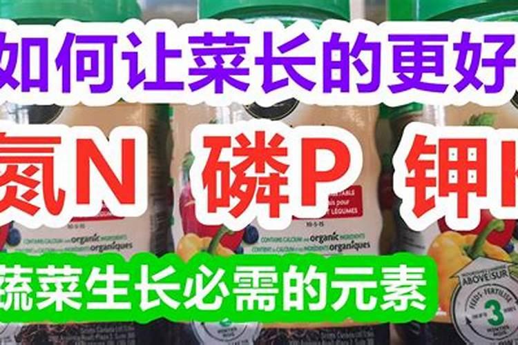 一夜红上色溶液可以用吗