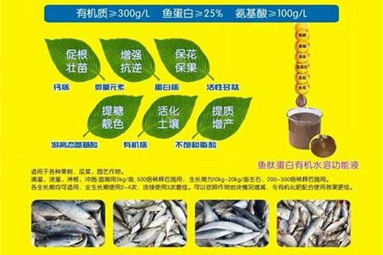 甜瓜使用水溶肥的好处？甜瓜生长期用什么肥料效果好？
