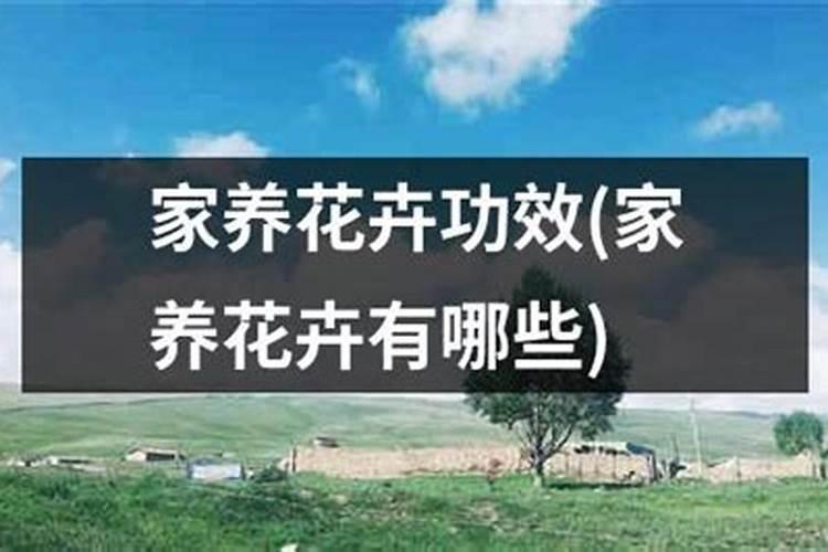 桃子快熟了落果怎么办