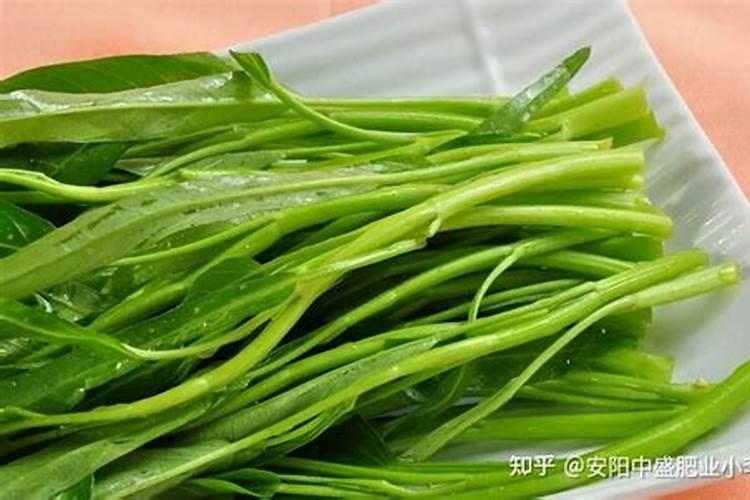 水栽培空心菜主要那一种肥