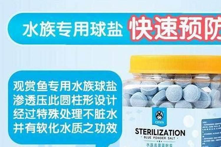 芋头什么时候施肥能高产量(芋头使用肥料名称及施肥时间)