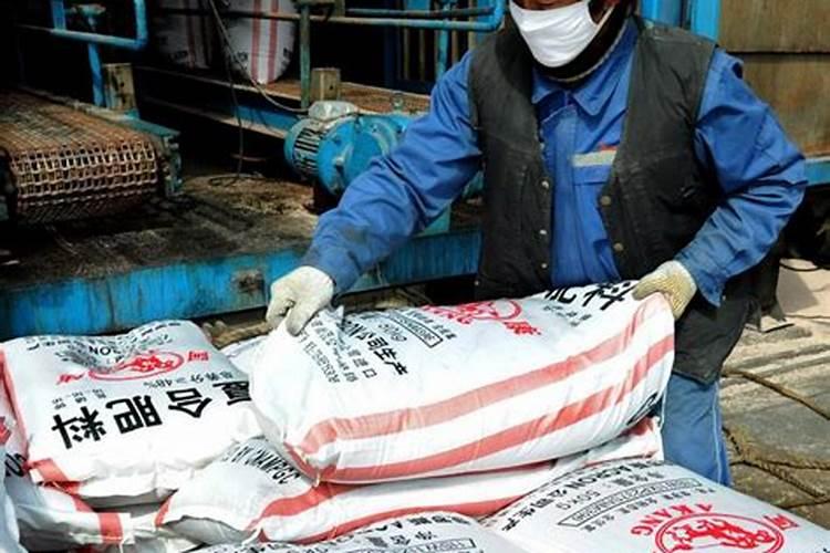 梨树几月份剪枝最好 什么时候剪梨树最为合适