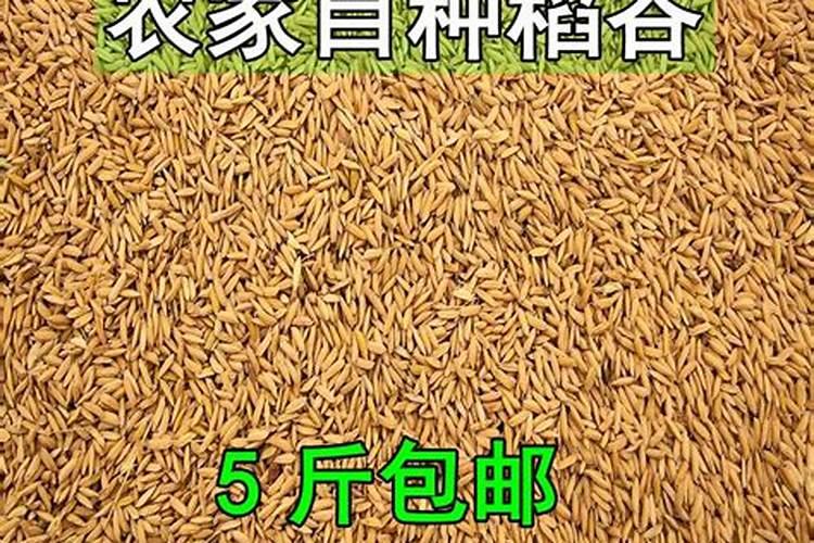 100斤生石灰变成熟石灰粉要多少水