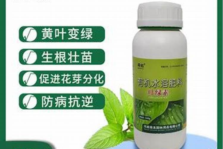 盆栽金钻用什么肥