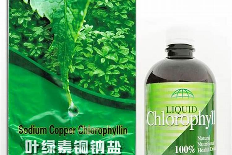 金钻需要用什么肥