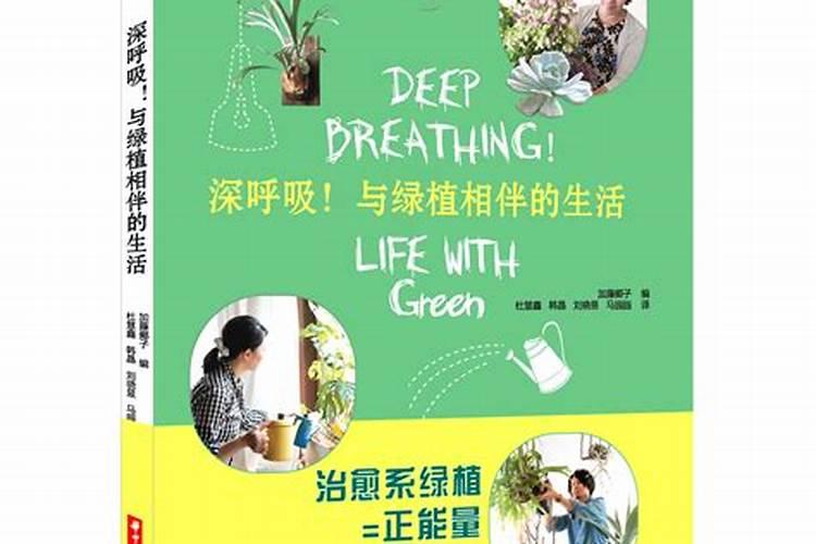 买的盆栽鲜花需要浇灌什么营养液吗？