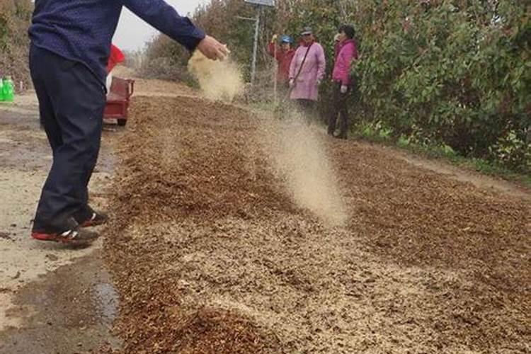 海藻鱼蛋白水溶肥料作用