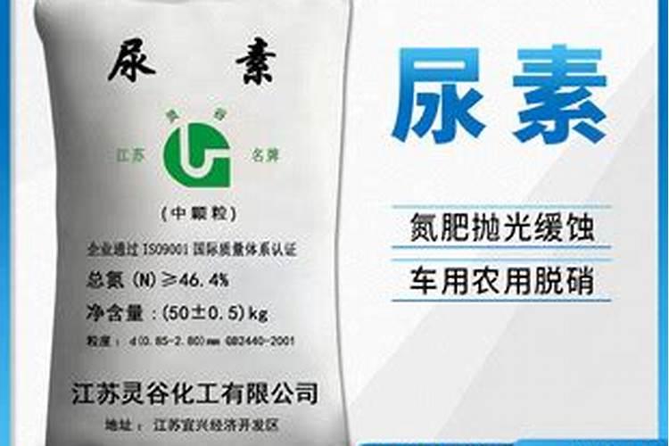 洗衣粉的制备过程