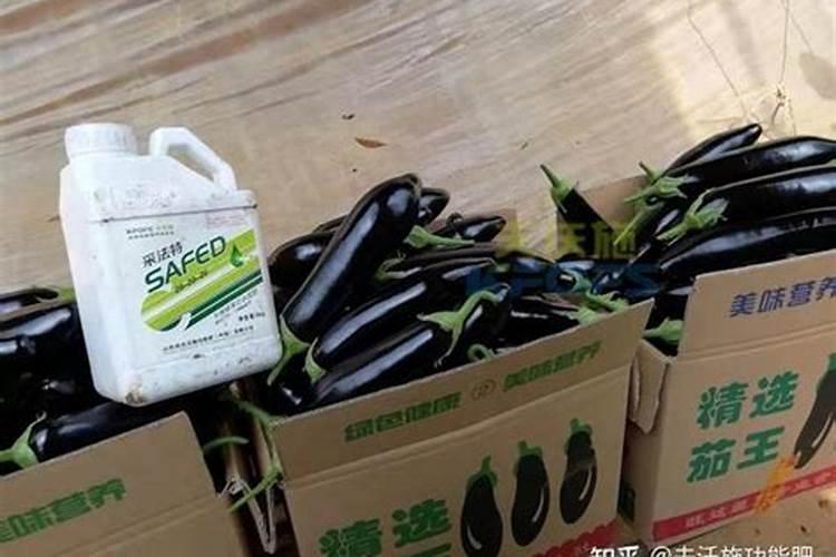 为什么微量元素水溶肥一定要选用螯合态的？