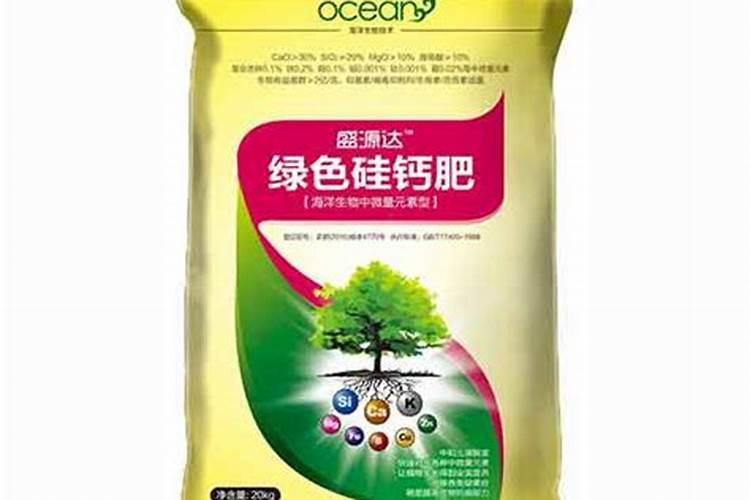 养兰花用什么肥料最好  促进兰花生根发芽的肥料