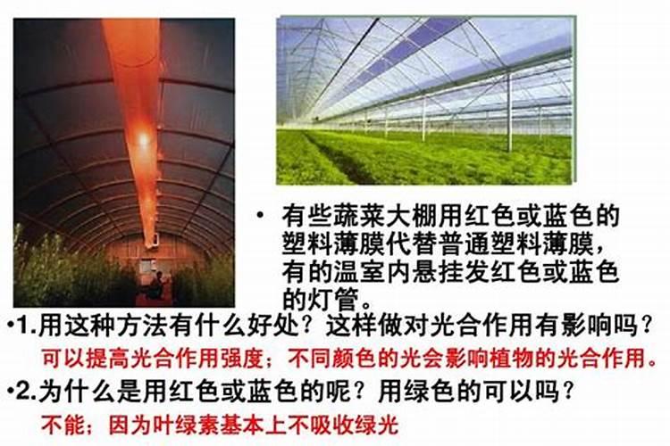 中农三铵复合肥玉米用怎么样？18 18 18的含量,