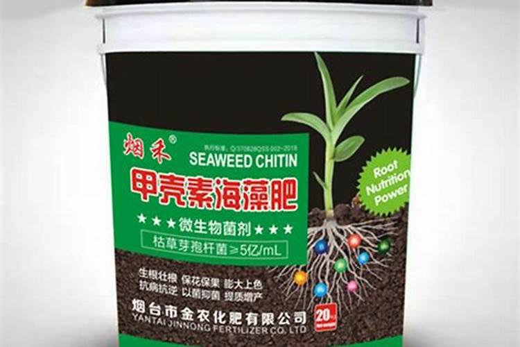 海藻肥的分类有哪些,有哪些优势