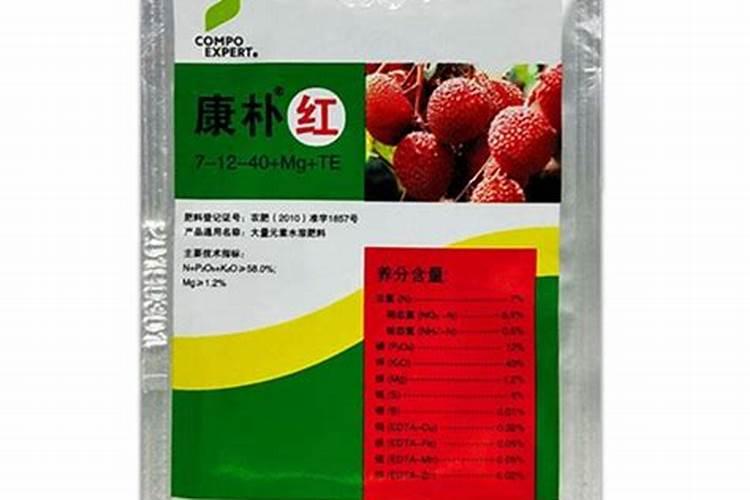 橘子汽水味是什么意思