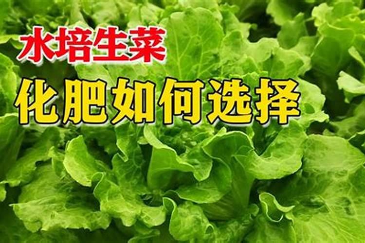 小青菜种植施肥方法和时间
