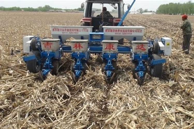 硫酸铵和尿素哪种好