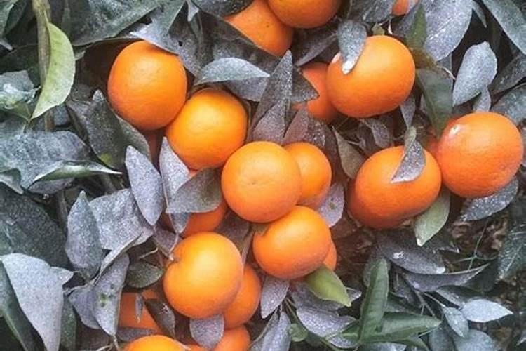 安徽进化硅纳米材料科技有限公司怎么样