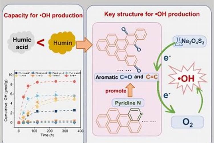 腐殖质是什么意思